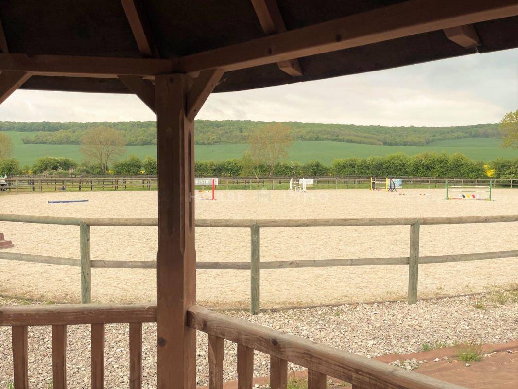 Stoeterij Koop Yonne