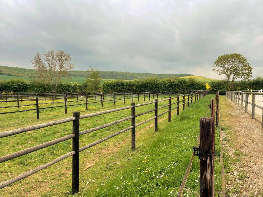 Stoeterij Koop Yonne