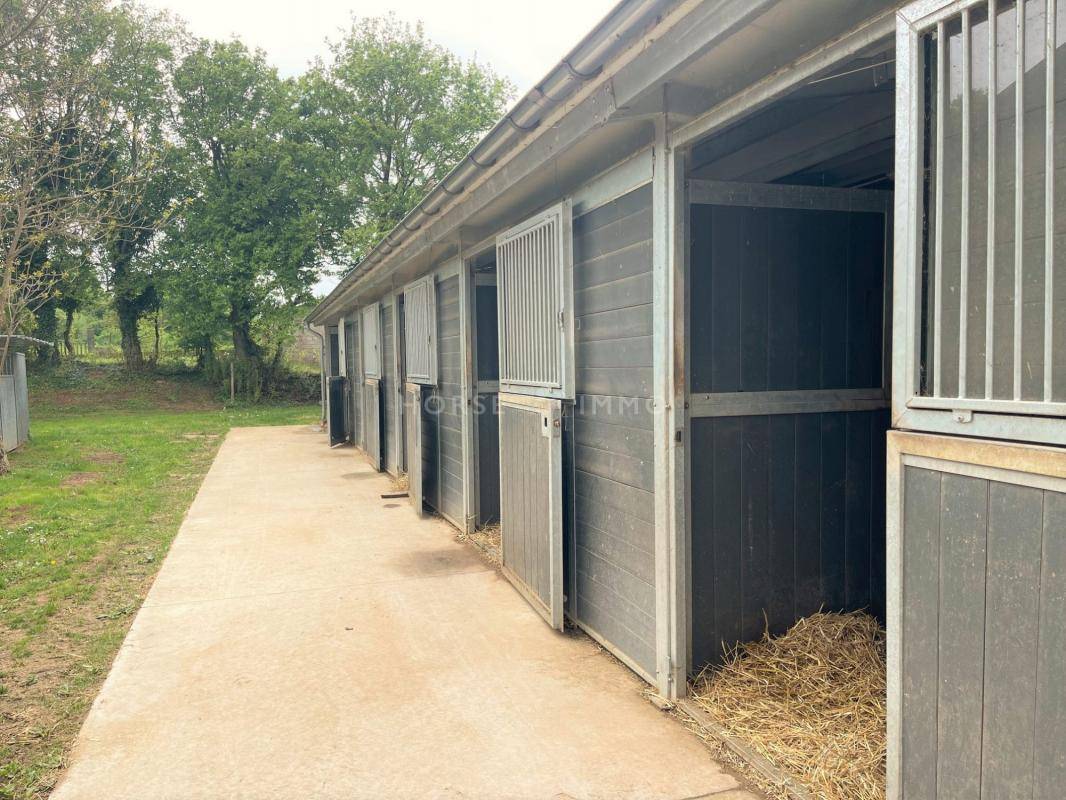 Stoeterij Koop Yonne