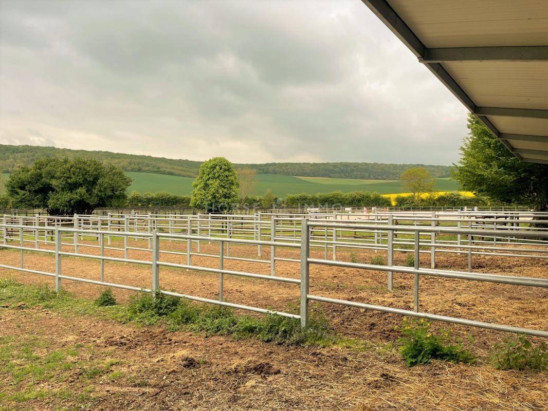 Stoeterij Koop Yonne