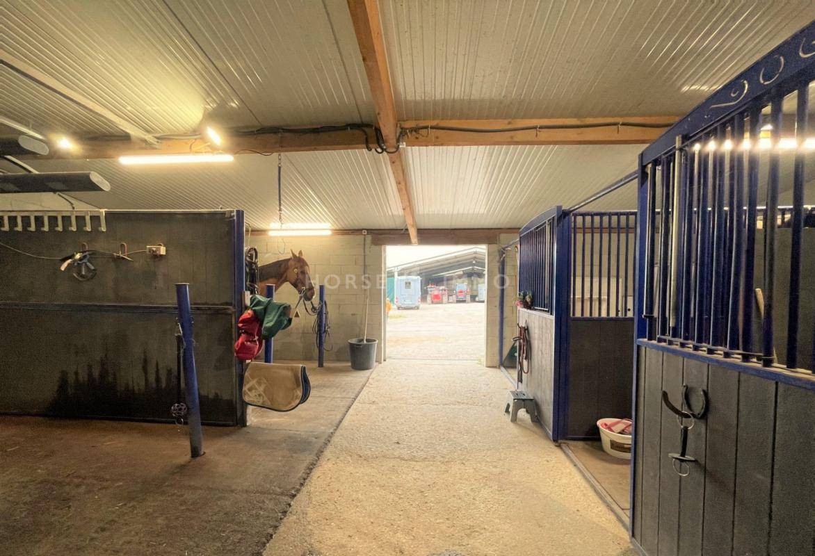 Stoeterij Koop Yonne