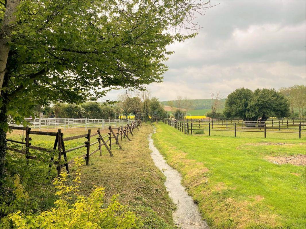 Stoeterij Koop Yonne