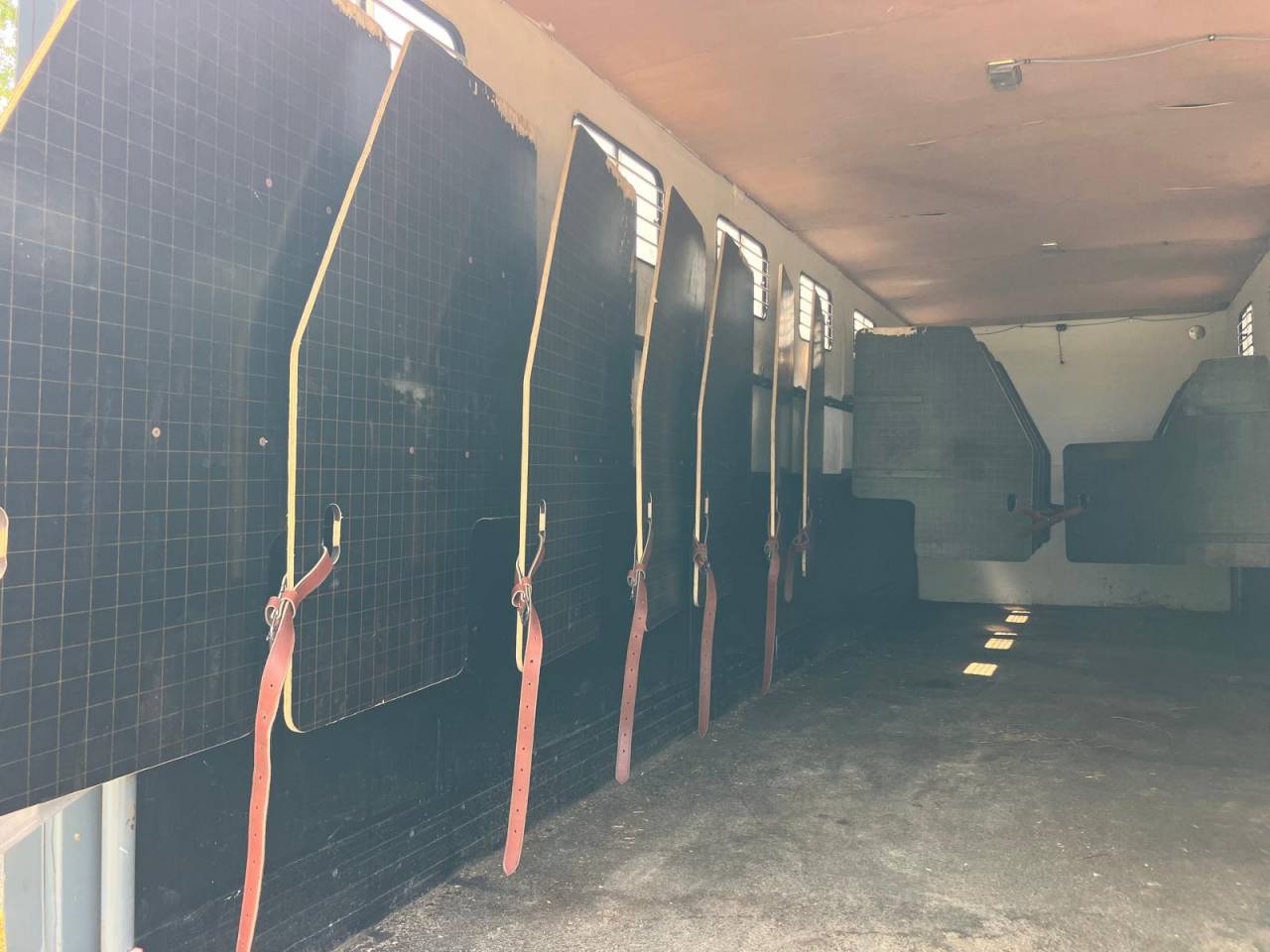 Zware paardenvrachtwagen (groot rijbewijs) Man MAN TGA 2007 Tweedehands