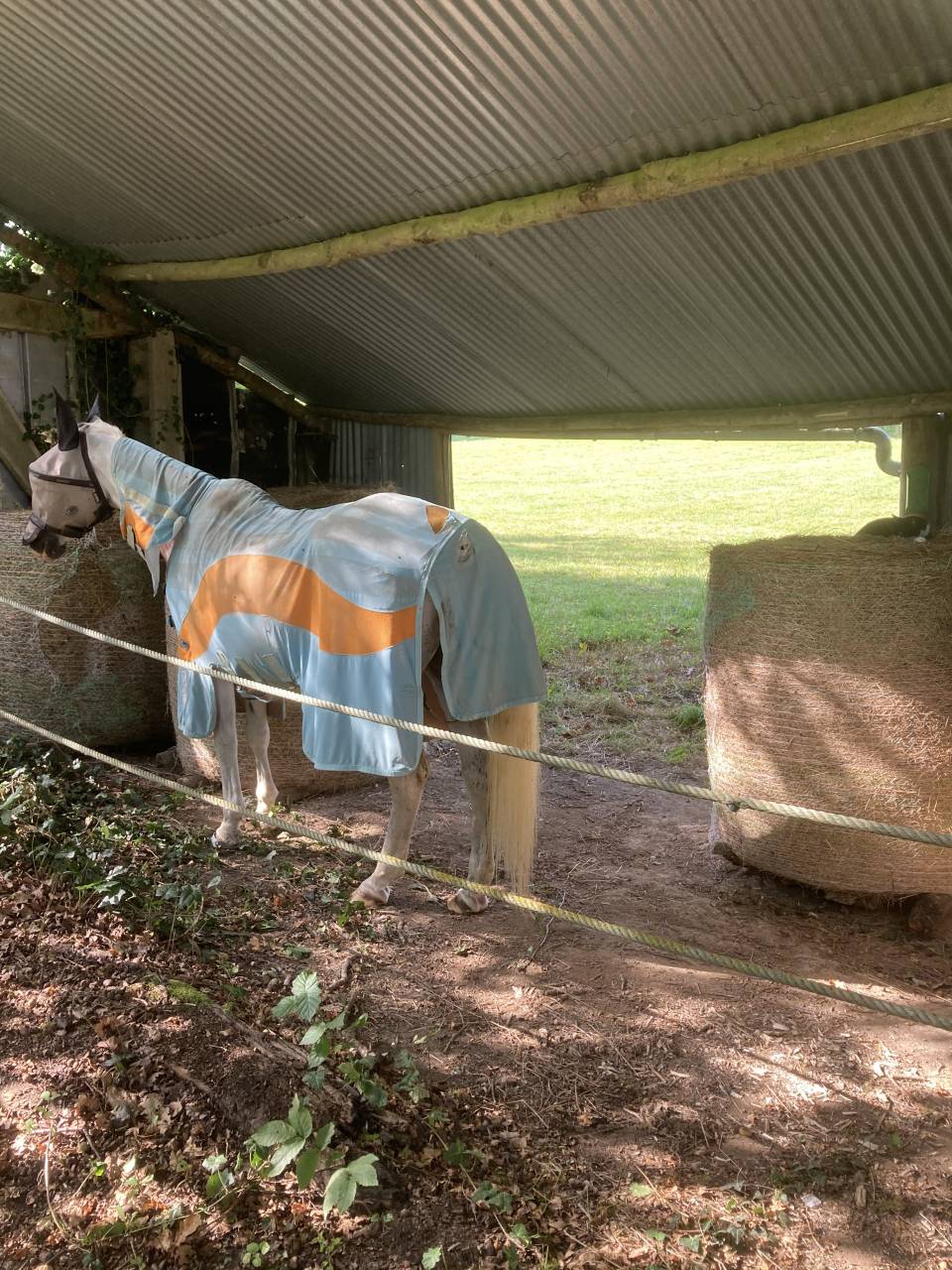 Hippisch vastgoed Koop Creuse