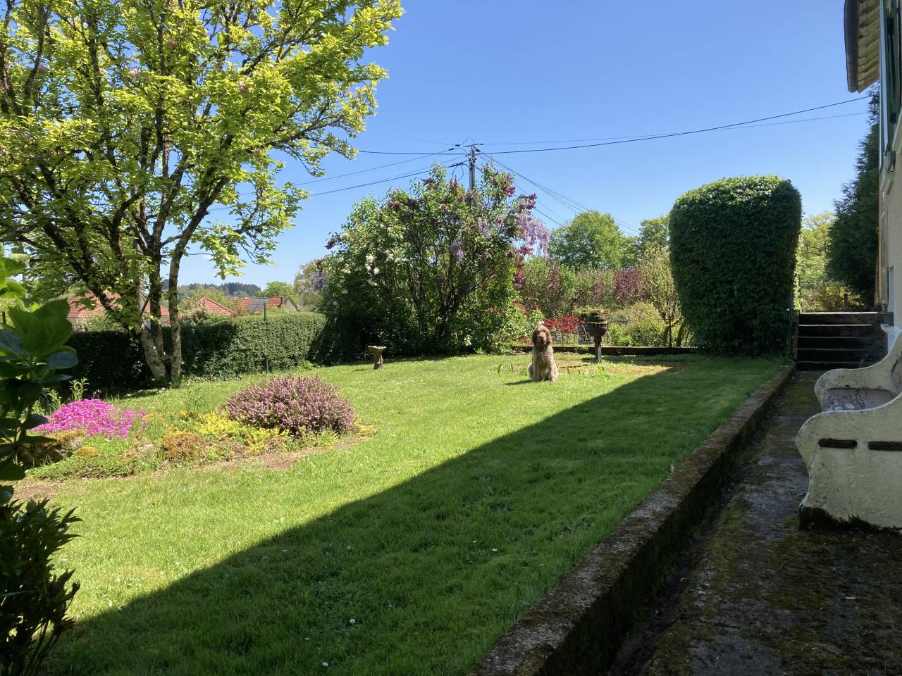 Hippisch vastgoed Koop Creuse