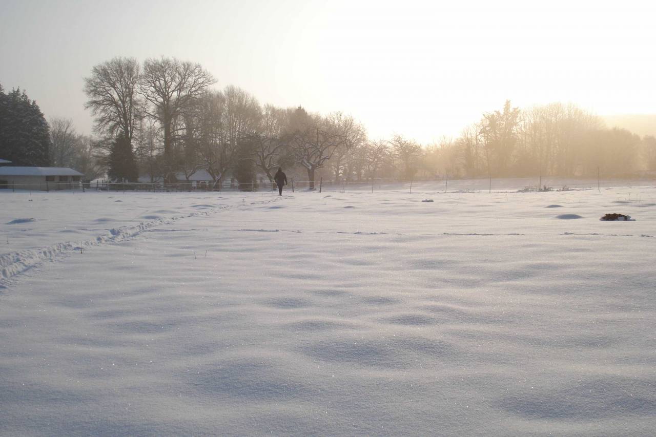 Hippisch vastgoed Koop Creuse