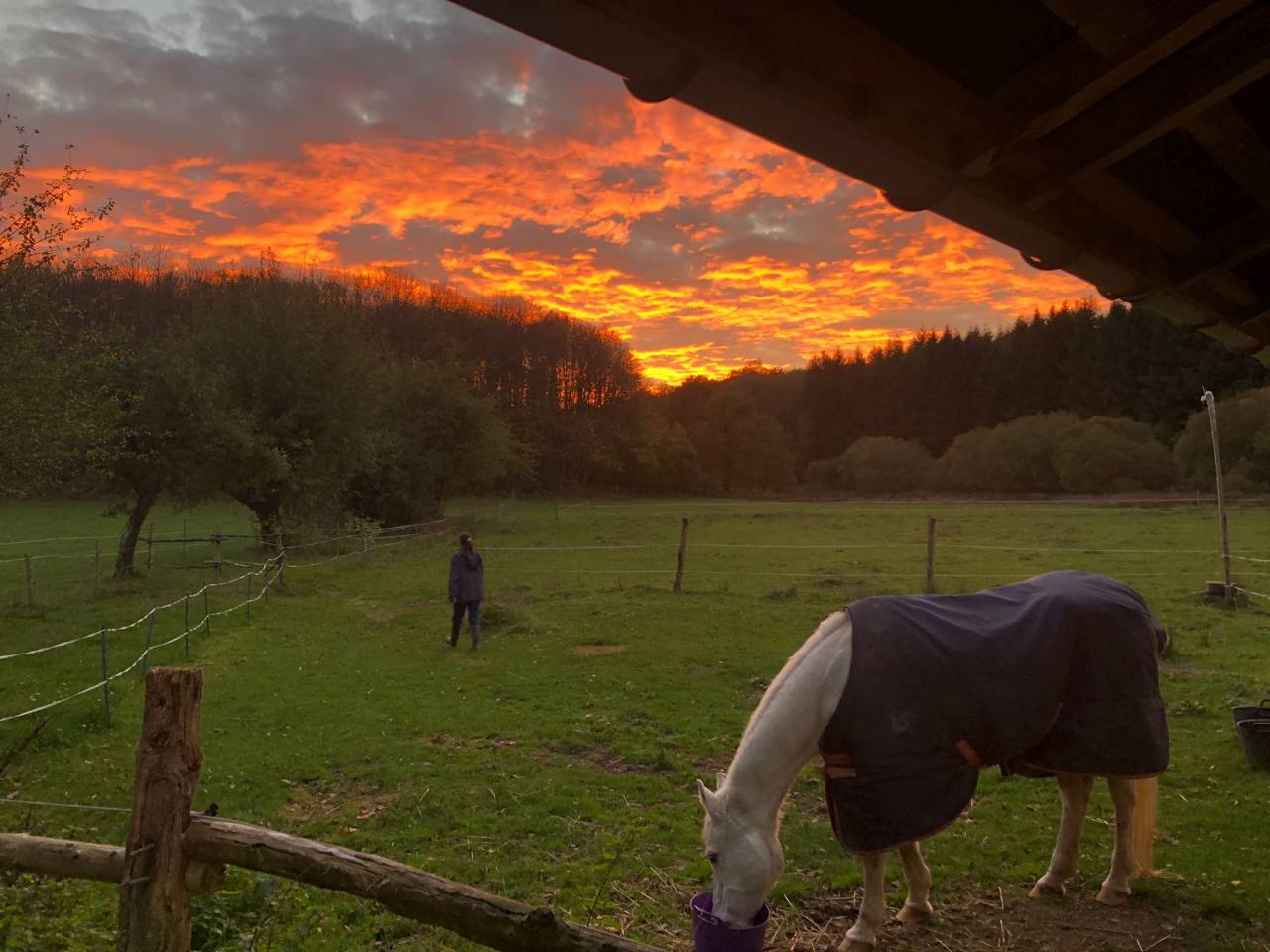 Hippisch vastgoed Koop Creuse