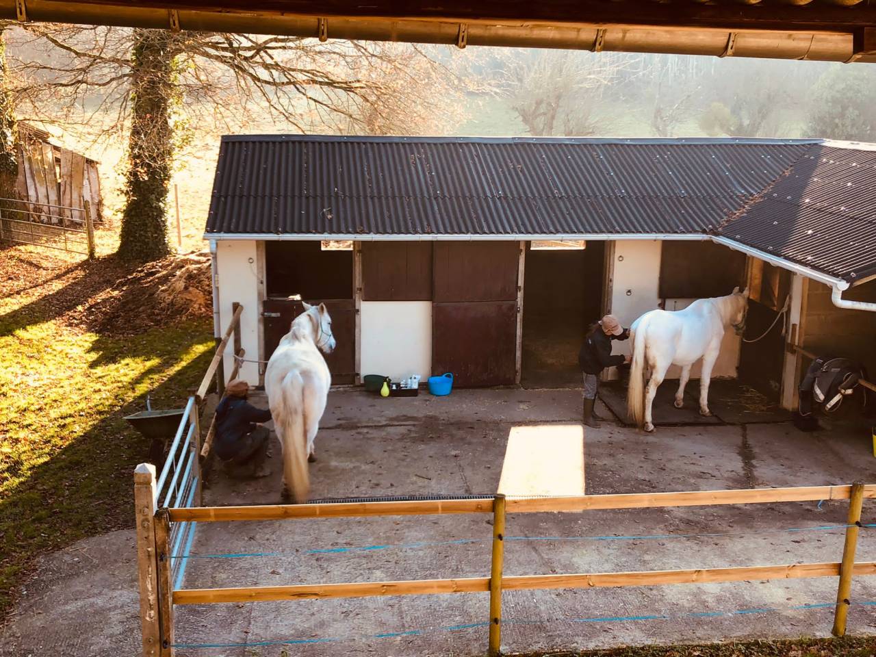 Hippisch vastgoed Koop Creuse