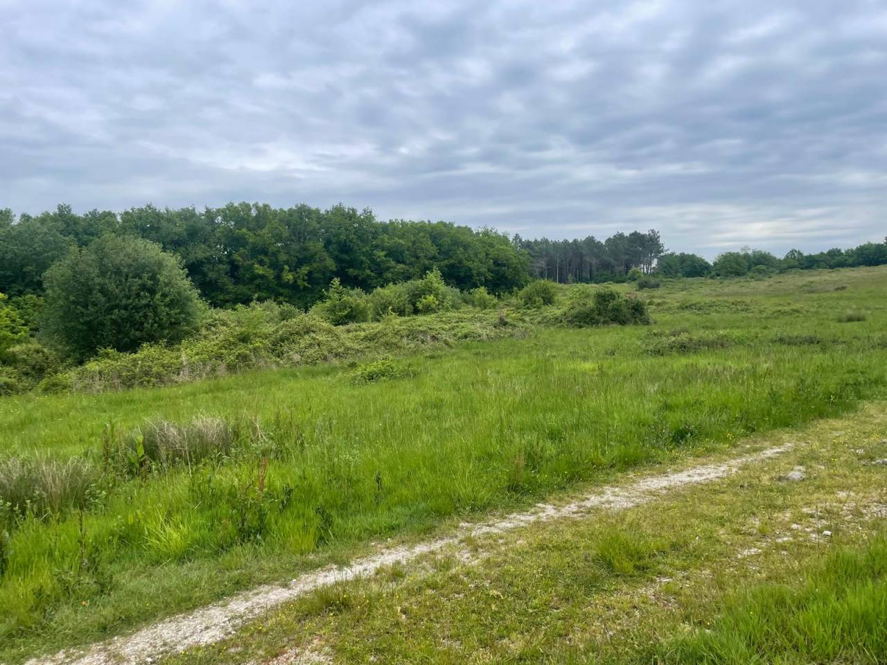 Hippisch toerisme vastgoed Koop Dordogne