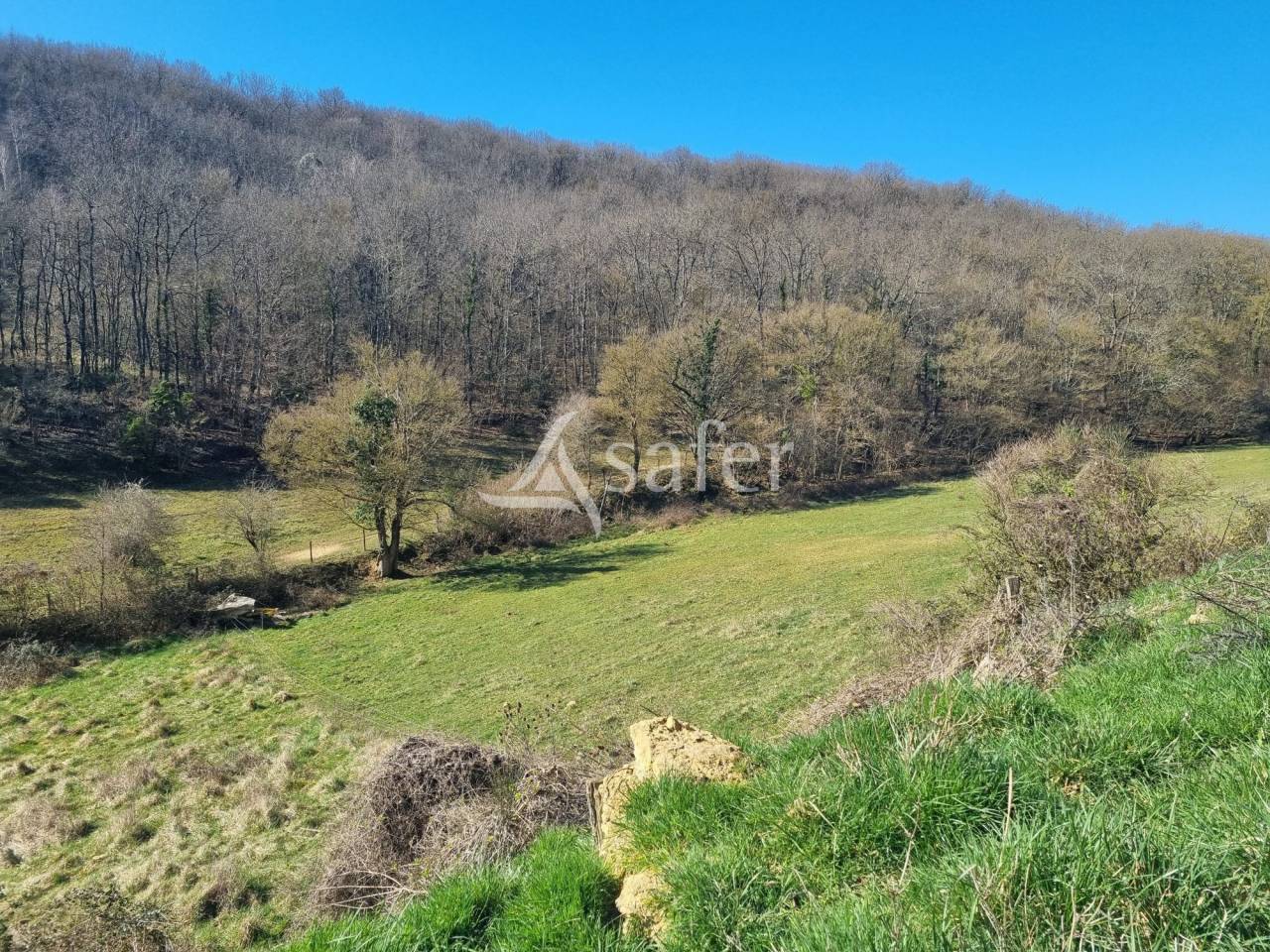 Landbouw bedrijf Koop Ariège