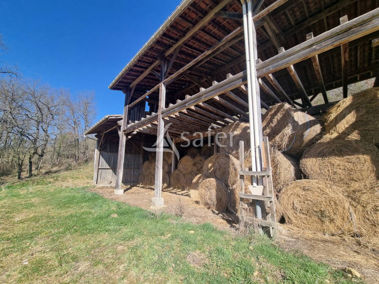 Landbouw bedrijf Koop Ariège