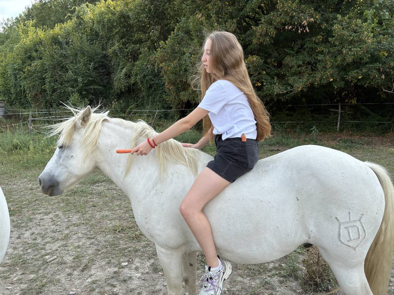 Ruin Camargue Te koop 2010 Wit ,  Marquis de Saint Martin