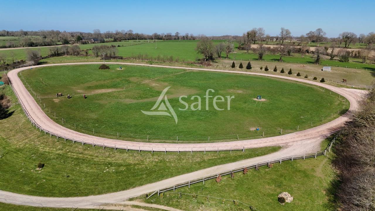 Hippisch vastgoed Koop Manche