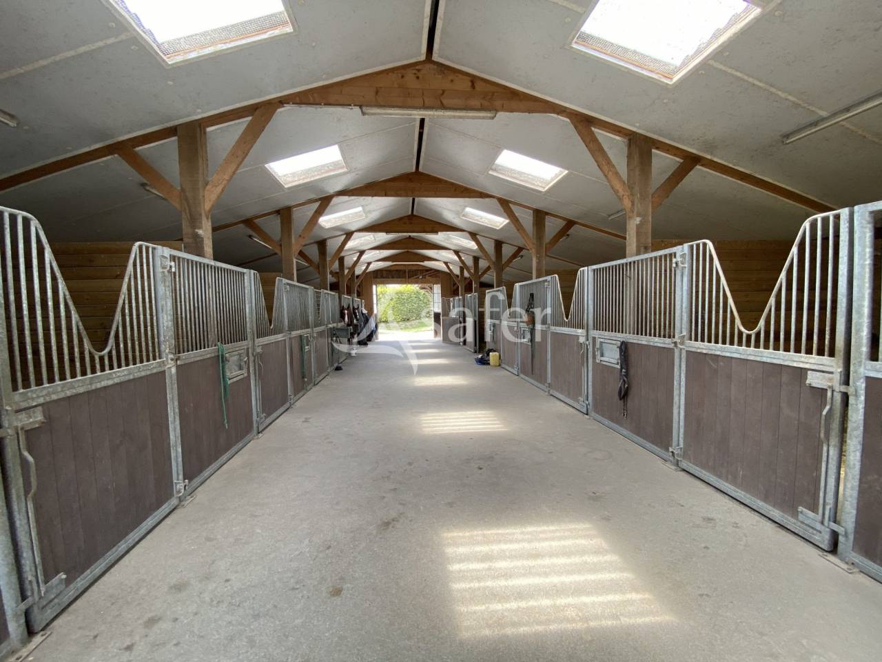 Hippisch vastgoed Koop Manche