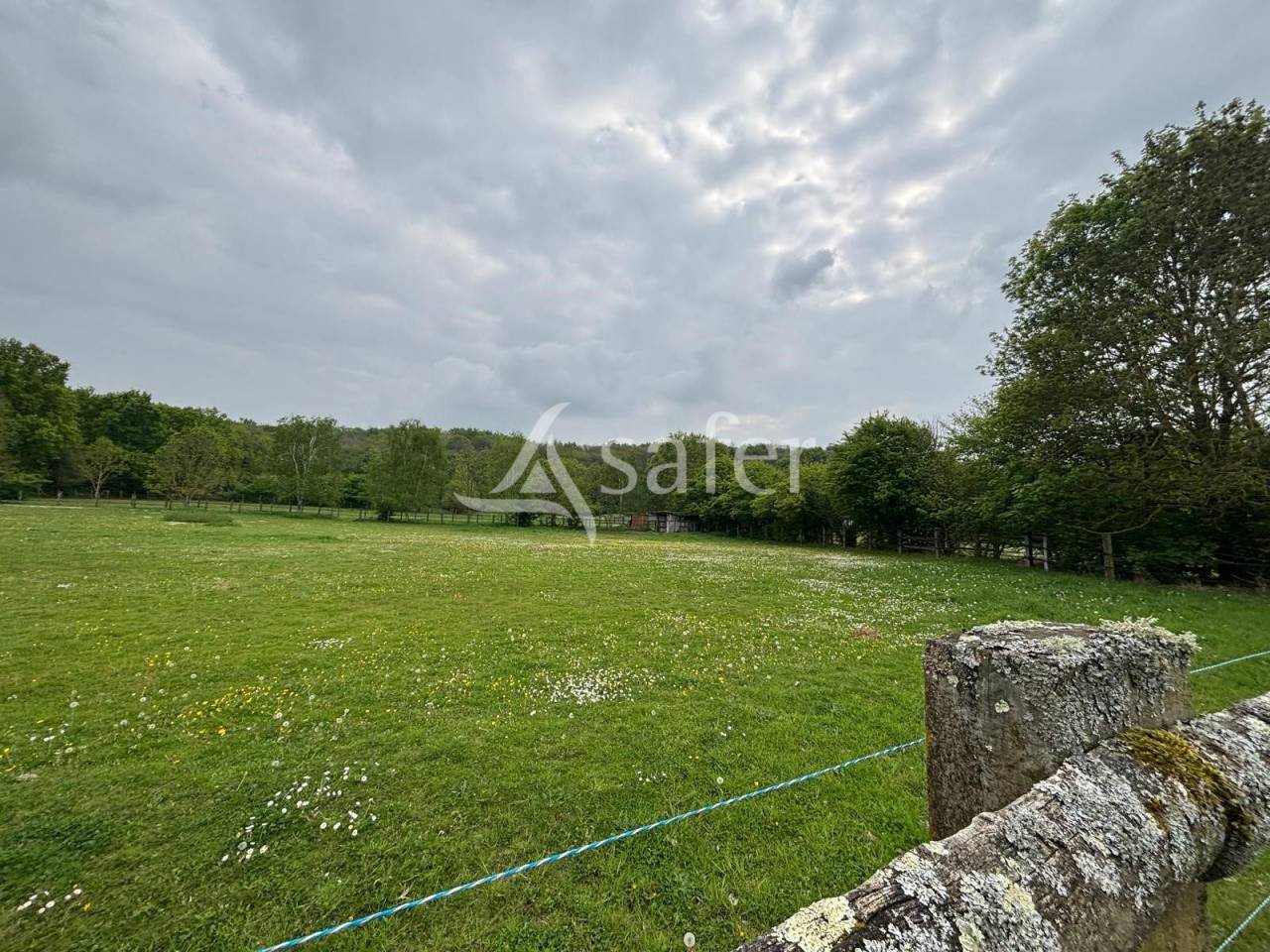 Hippisch vastgoed Koop Essonne