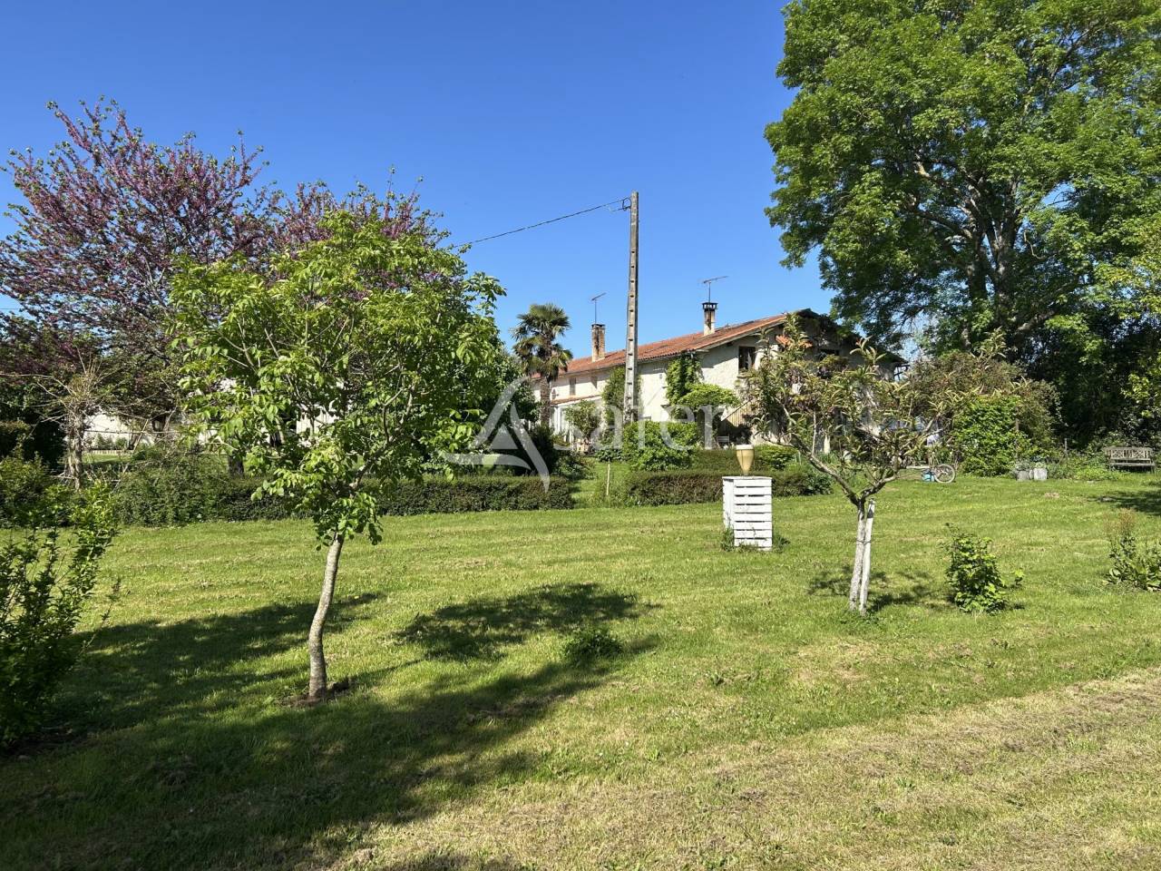 Groente exploitatie Koop Lot-et-Garonne