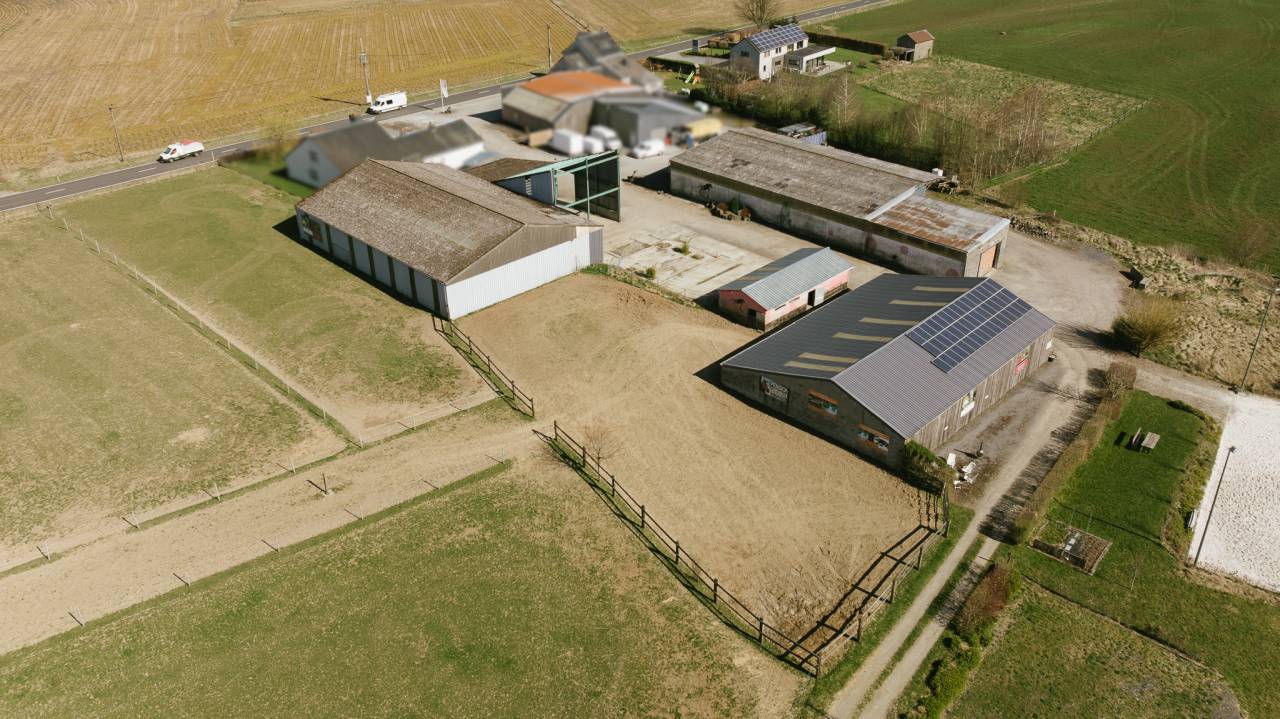 Hippisch vastgoed Koop Luxembourg belge