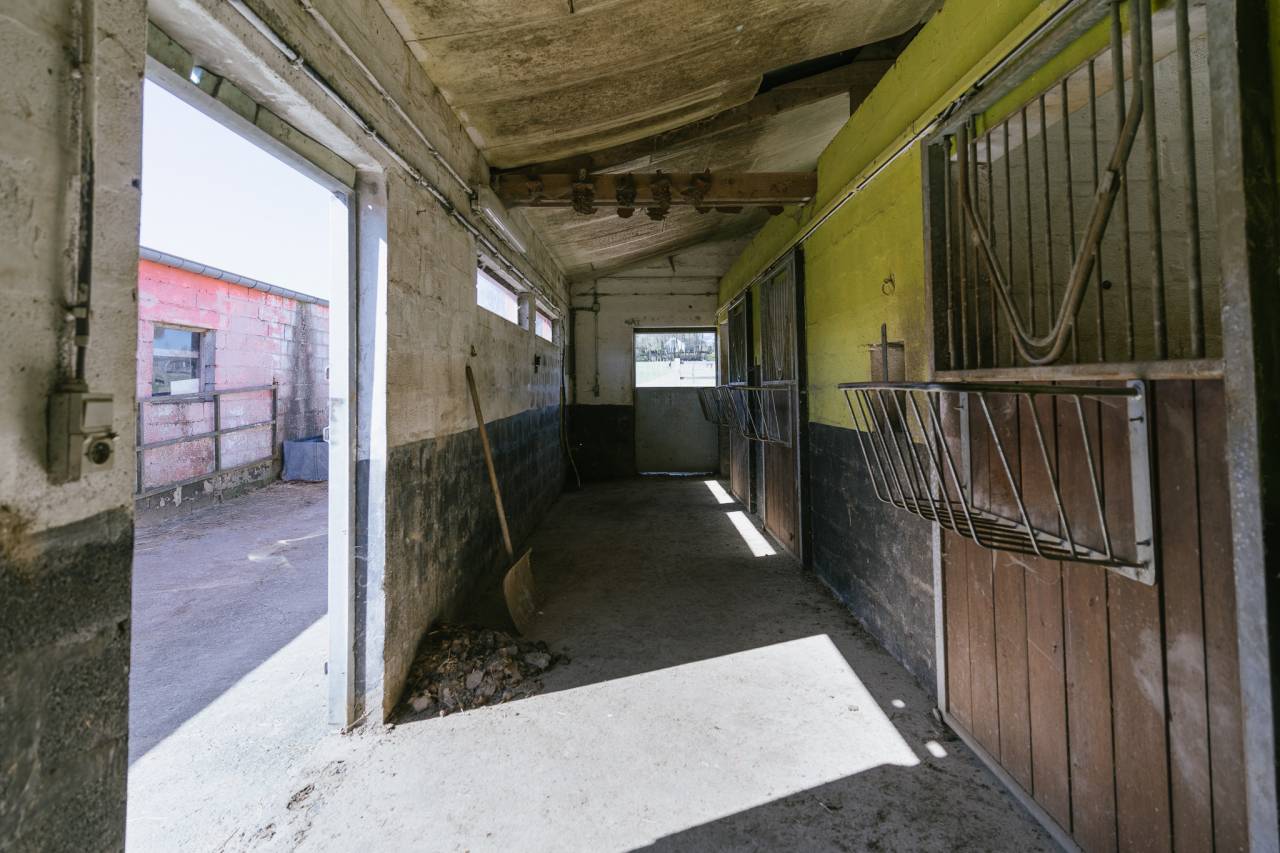 Hippisch vastgoed Koop Luxembourg belge