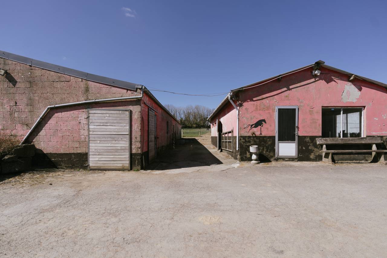 Hippisch vastgoed Koop Luxembourg belge