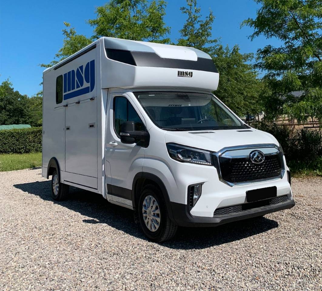 Kleine paardenvrachtwagen (B rijbewijs) Autre marque MAXUS 0 Nieuw