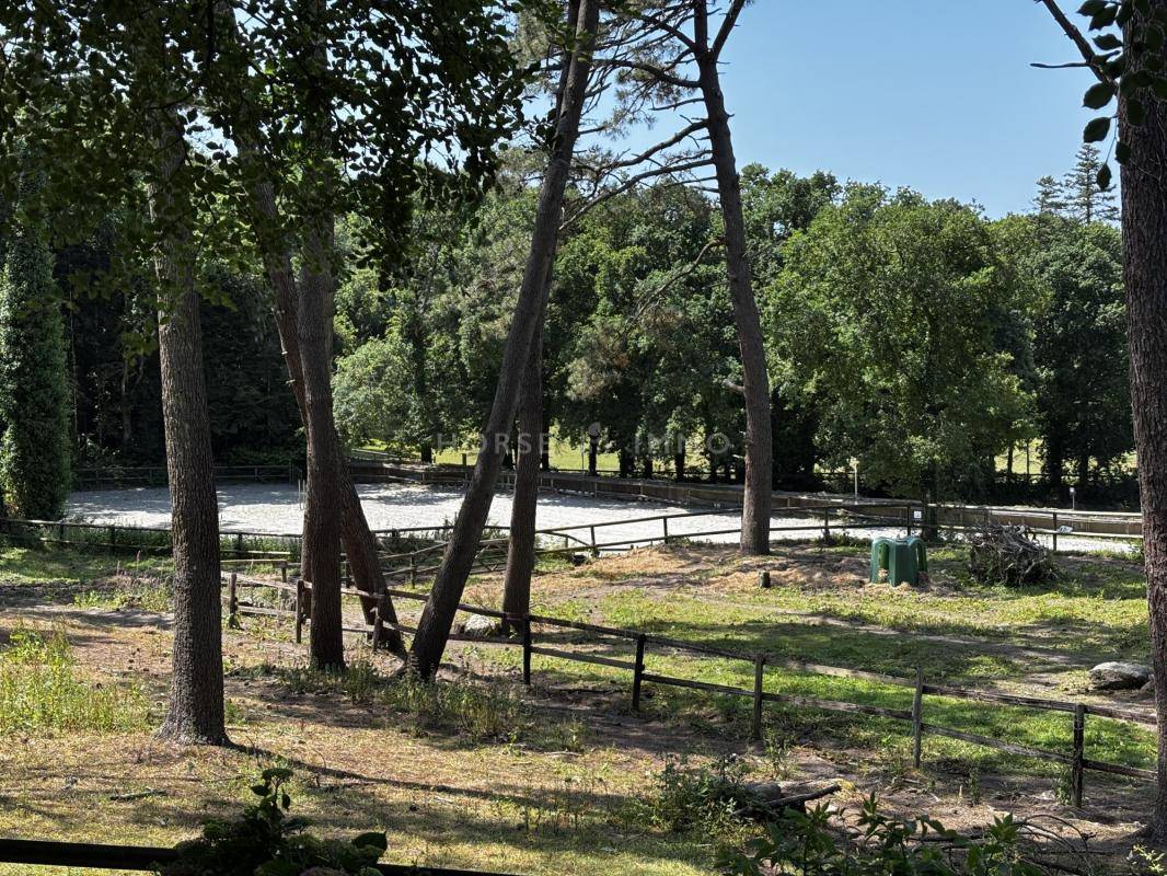 Hippisch vastgoed Koop Morbihan