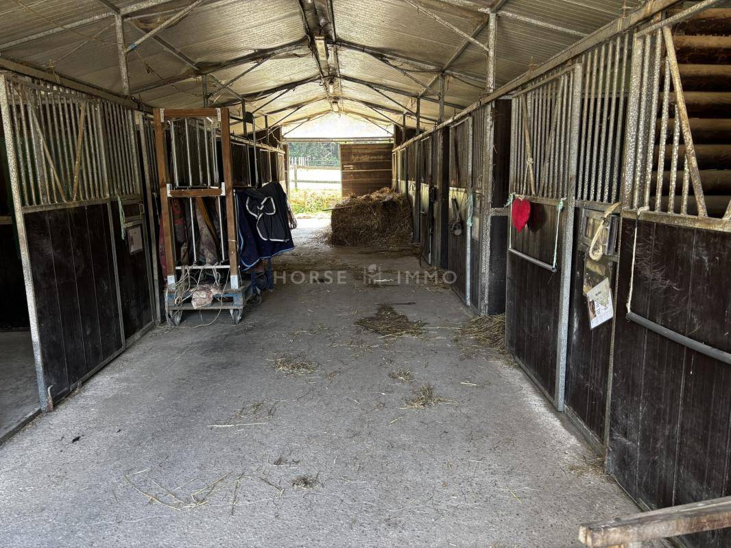 Hippisch vastgoed Koop Morbihan