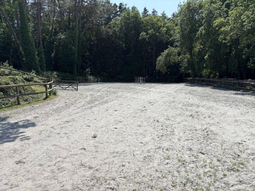 Hippisch vastgoed Koop Morbihan