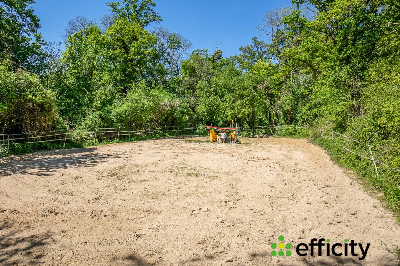 Hippisch vastgoed Koop Yvelines