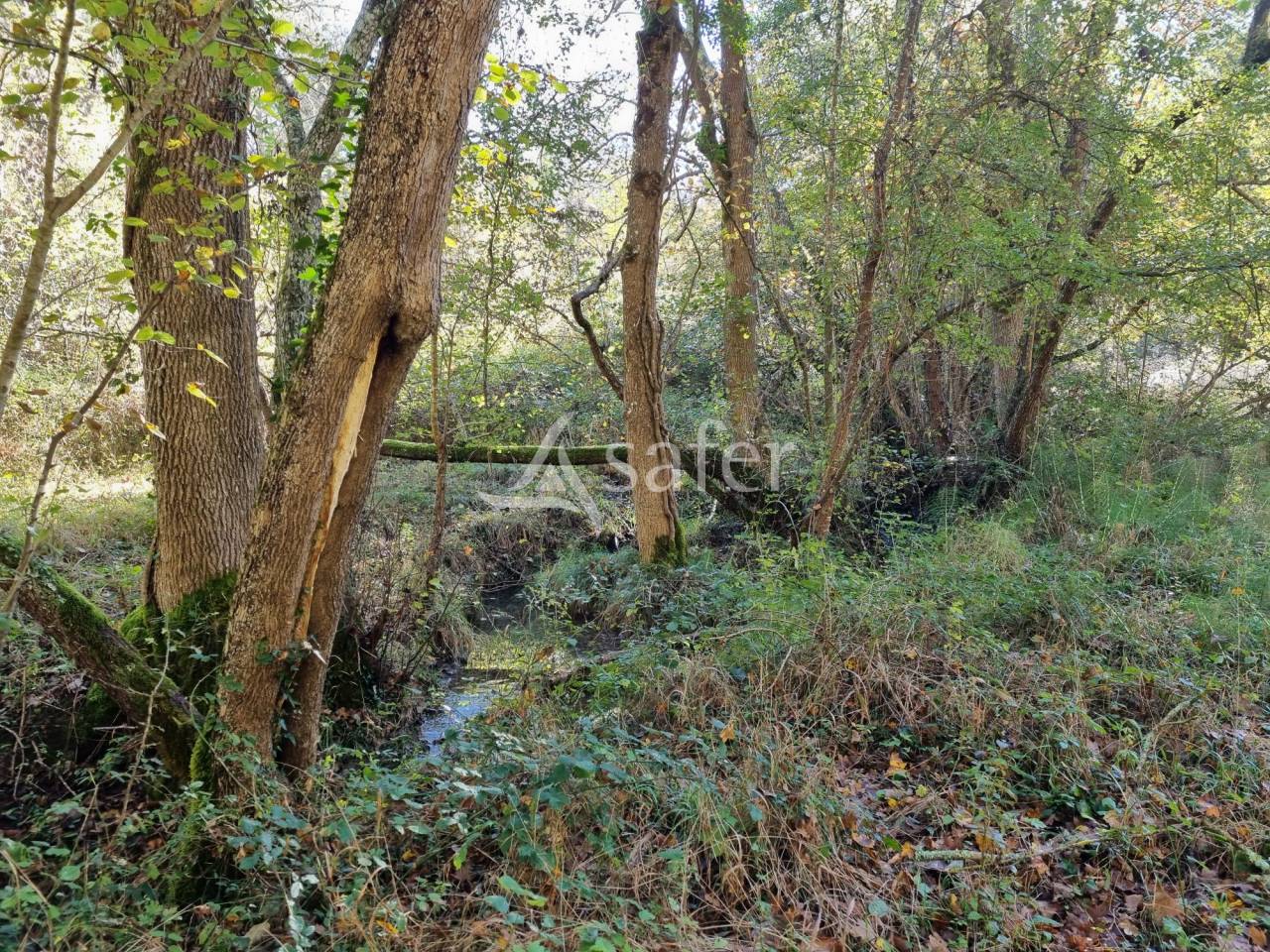 Ander plattelands vastgoed Koop Ariège