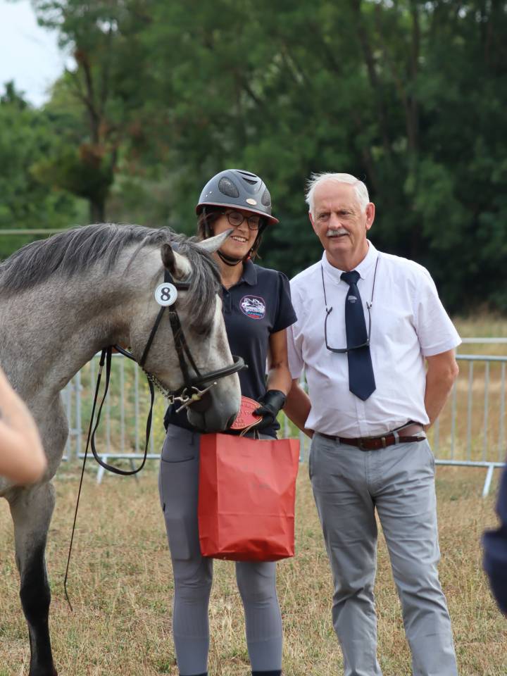 Hengst Connemara Te koop 2022 Schimmel ,  Folk’n rock Rhapsody