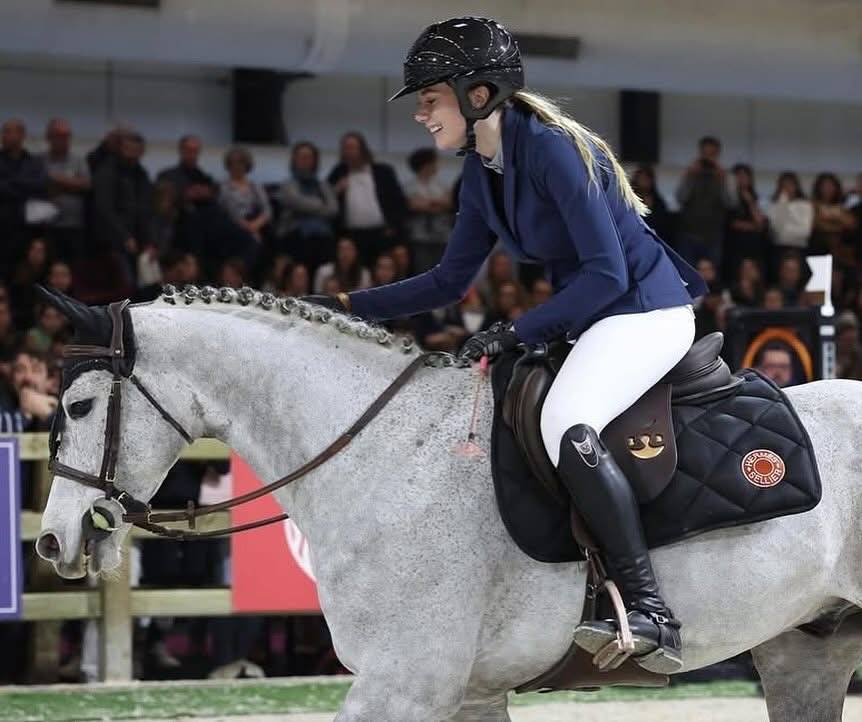 Ruin Franse rijpony PFS Te koop 2015 Schimmel ,  PRESIDENT