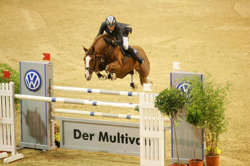 Ruin Franse rijpony PFS Te koop 2023 Bontzwart