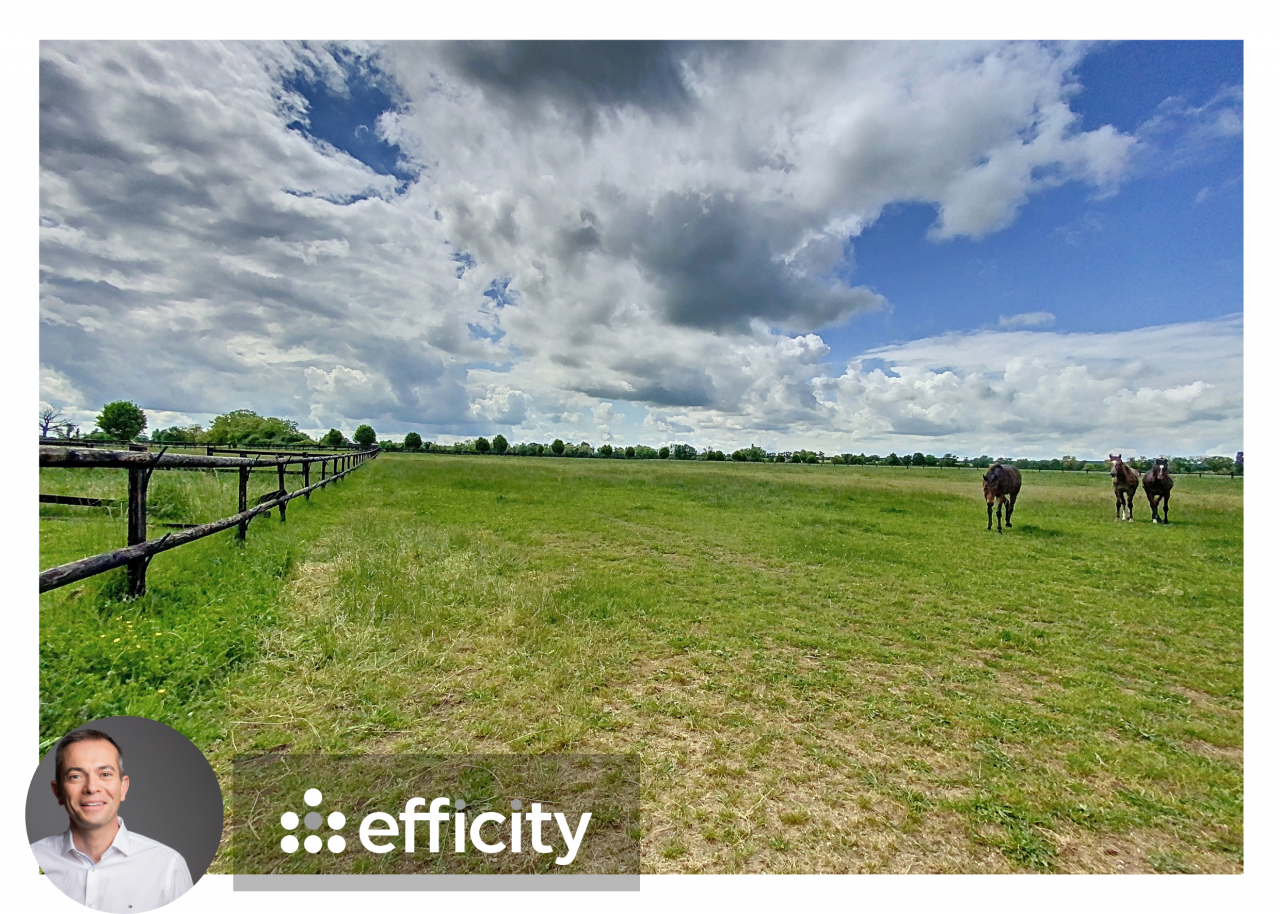 Mooi hippisch vastgoed Koop Nièvre