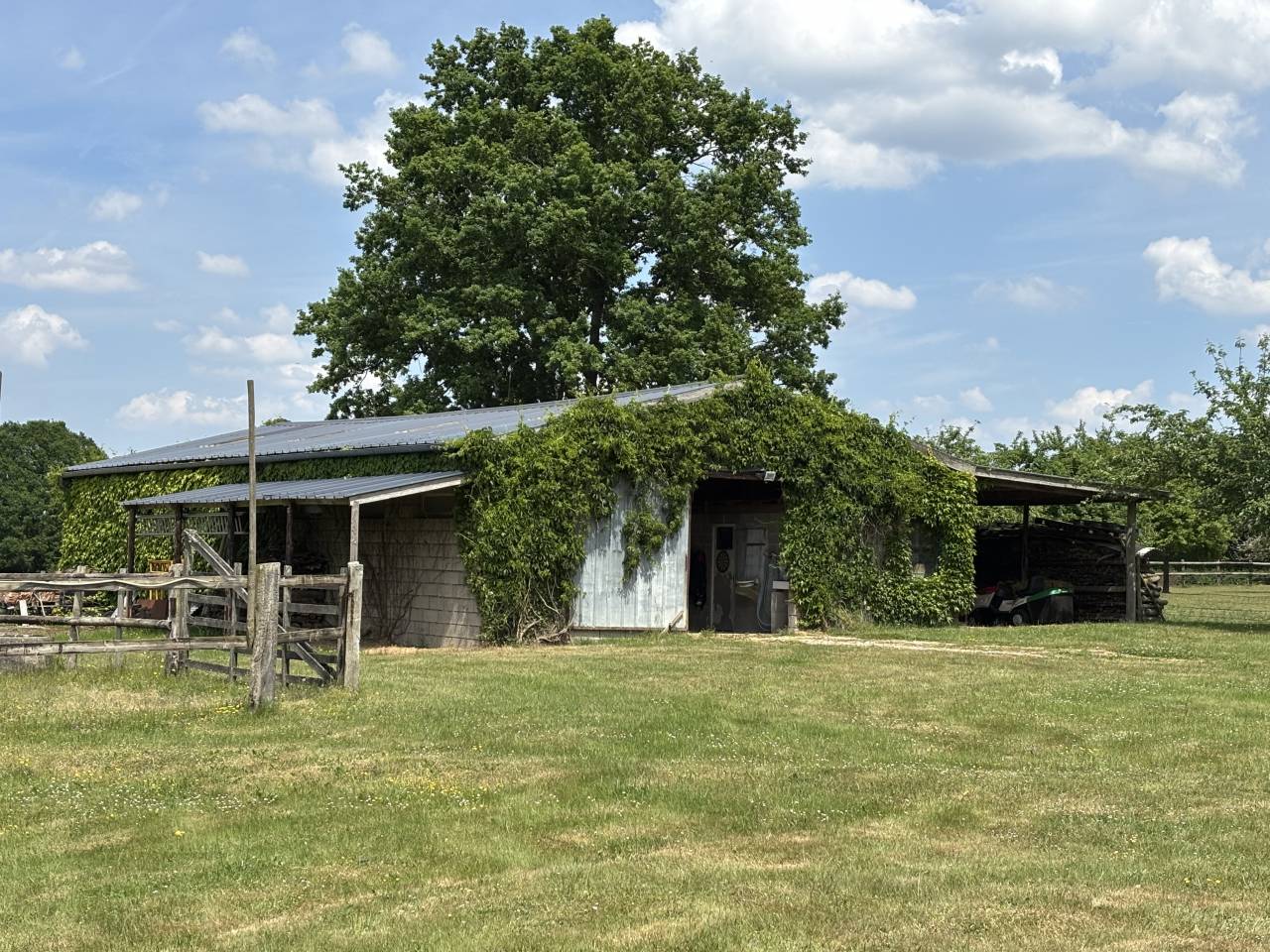 Hippisch vastgoed Koop Calvados