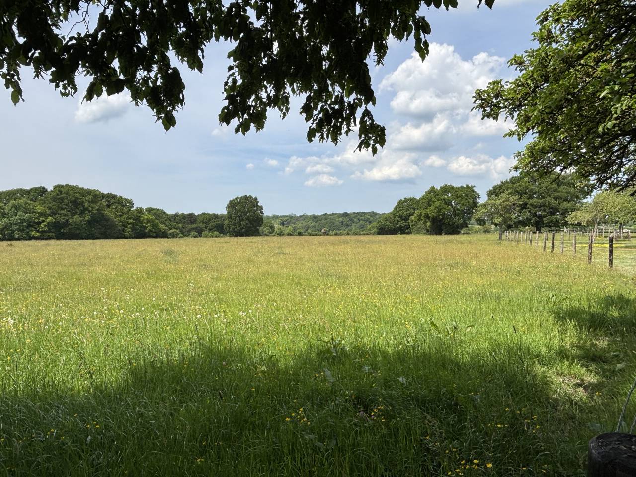 Hippisch vastgoed Koop Calvados