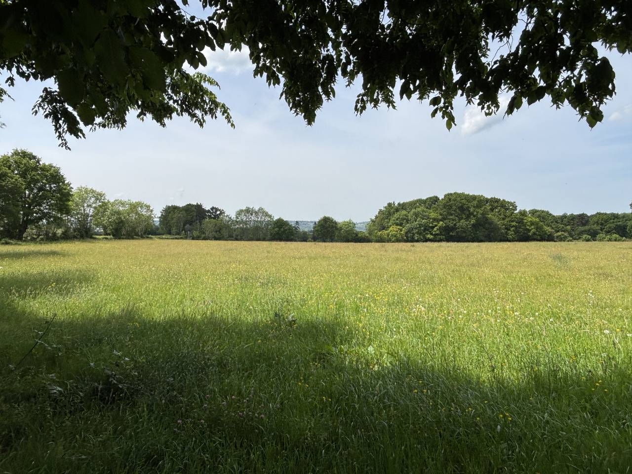 Hippisch vastgoed Koop Calvados
