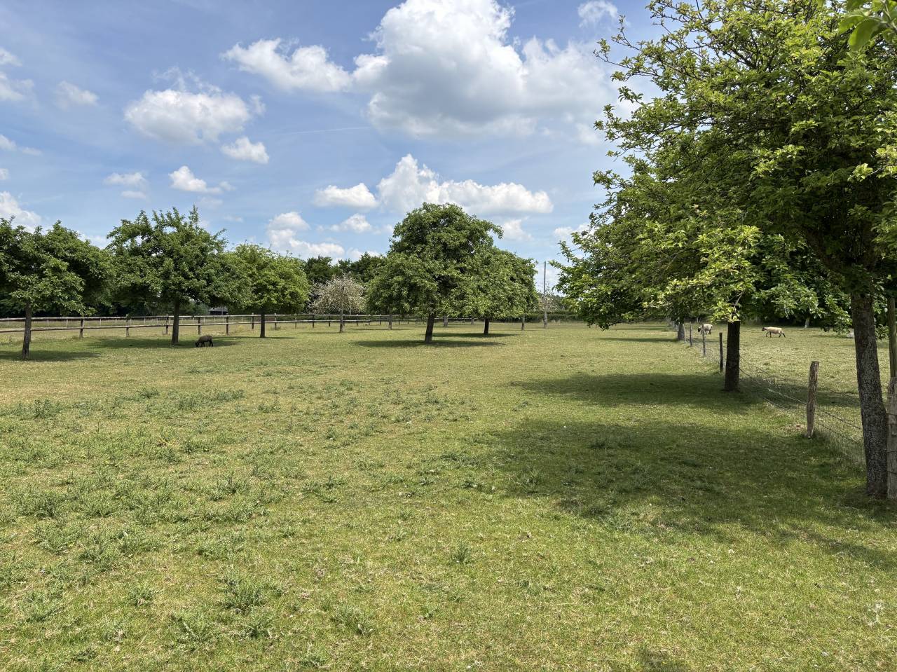 Hippisch vastgoed Koop Calvados
