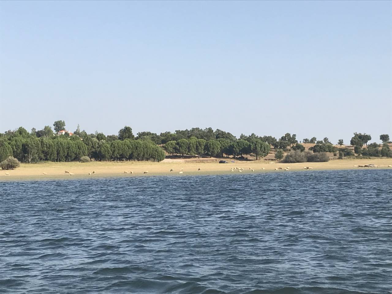 Hippisch vastgoed Koop 