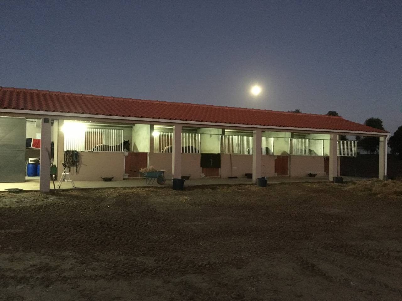 Hippisch vastgoed Koop 