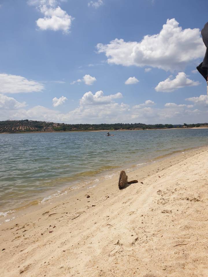 Hippisch vastgoed Koop 