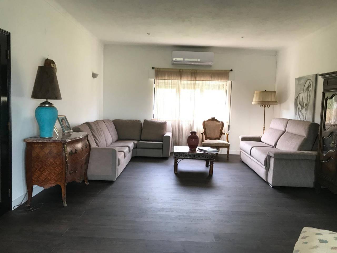 Hippisch vastgoed Koop 