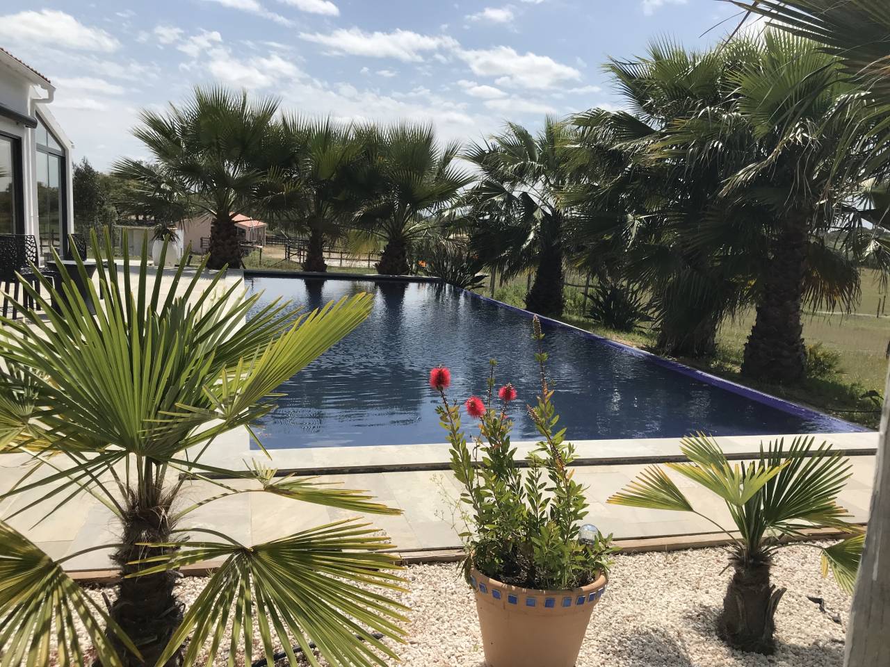 Hippisch vastgoed Koop 