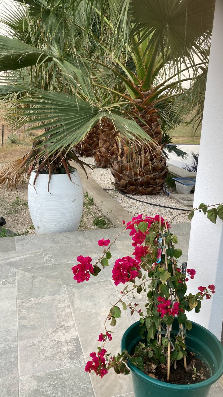 Hippisch vastgoed Koop 