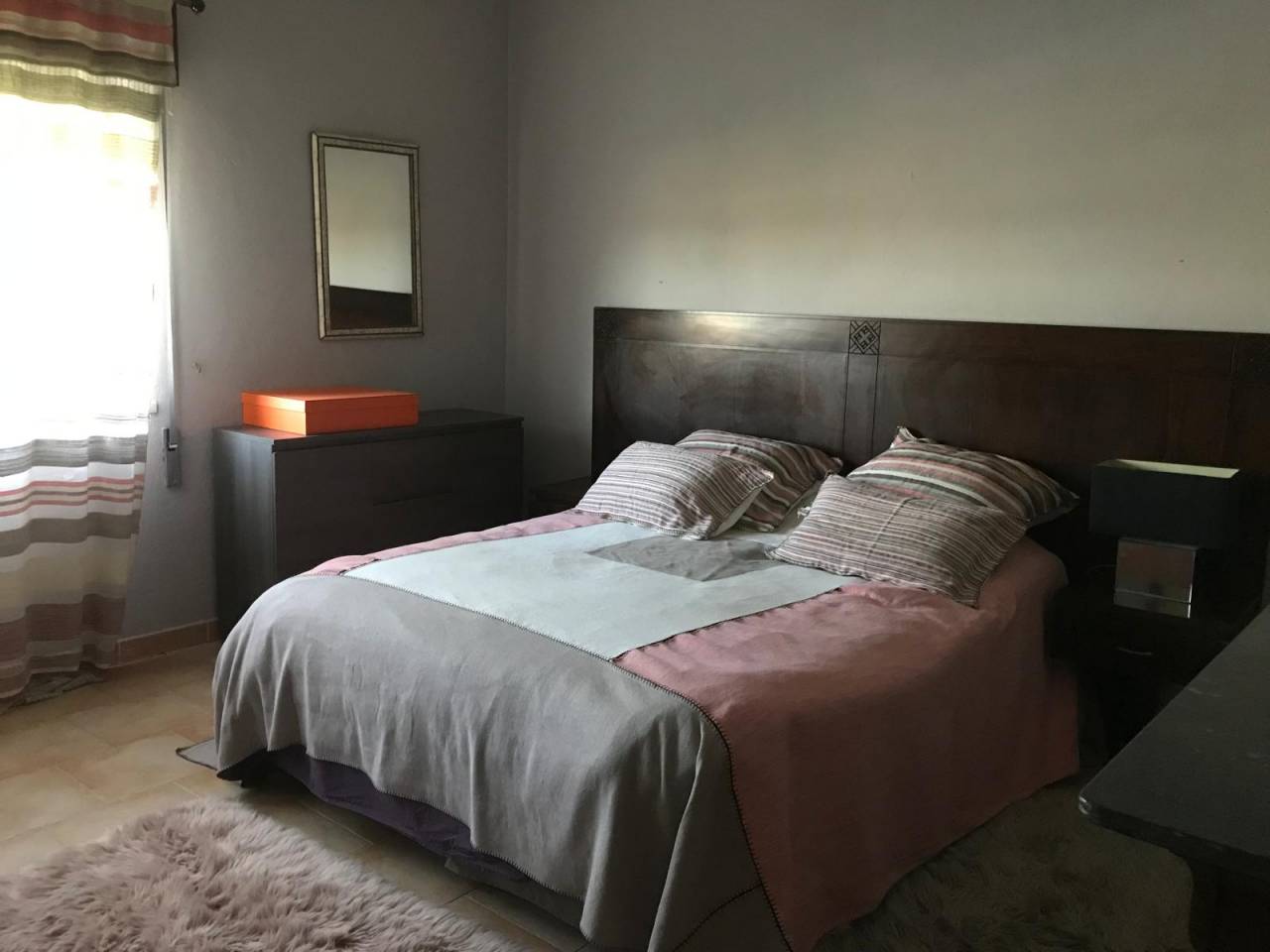 Hippisch vastgoed Koop 