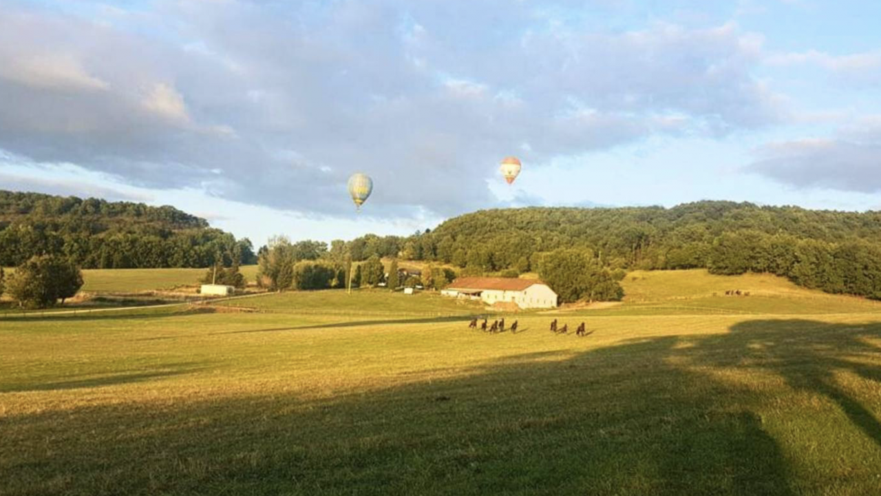 Hippisch vastgoed Koop Lot-et-Garonne