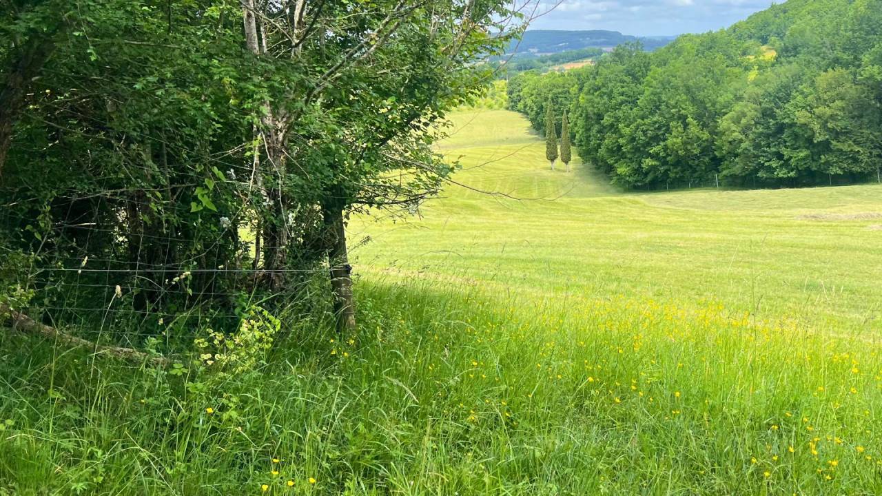 Hippisch vastgoed Koop Lot-et-Garonne