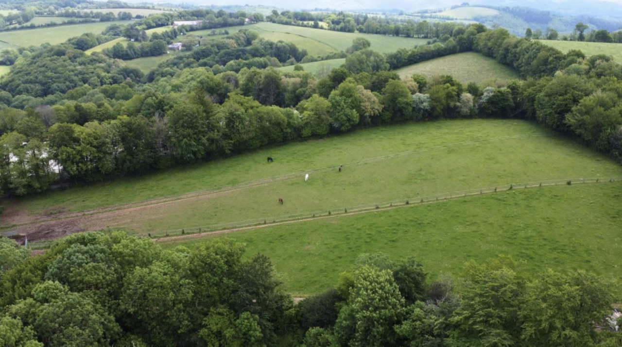 Hippisch vastgoed Koop tarn