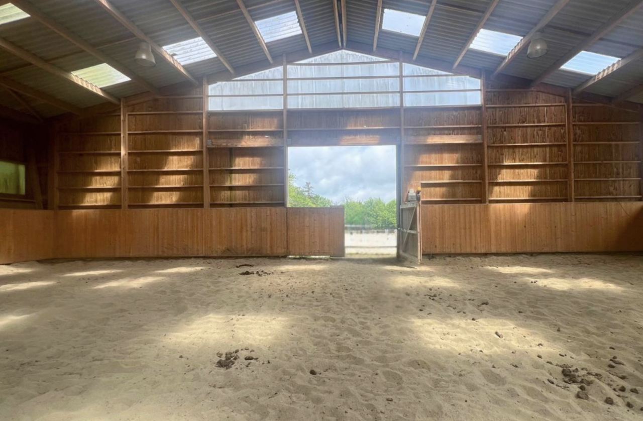 Hippisch vastgoed Koop tarn