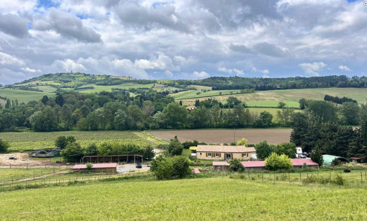 Hippisch vastgoed Koop Aude