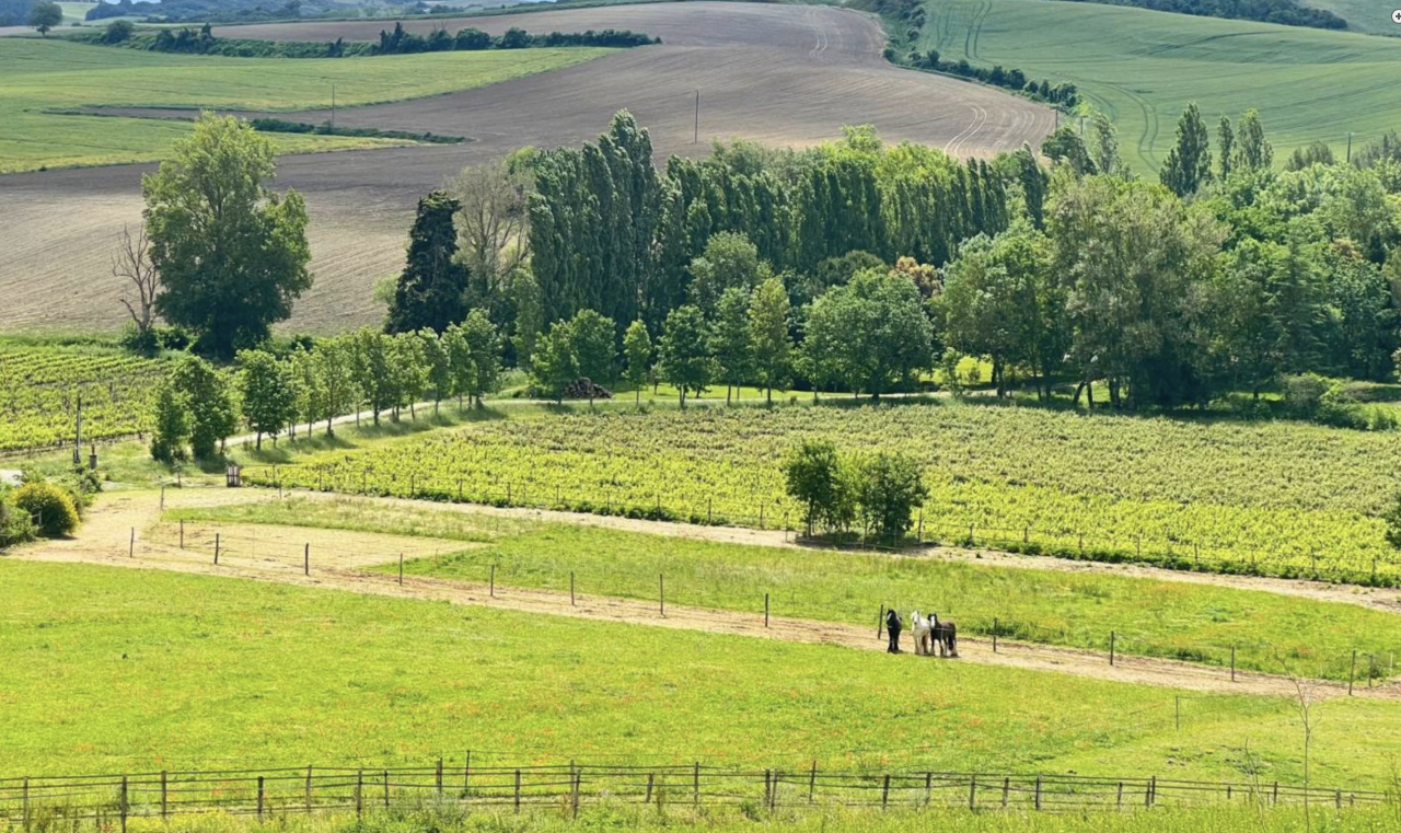 Hippisch vastgoed Koop Aude
